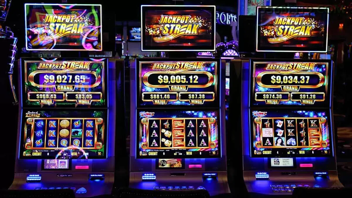 Slots 556bet - Sweet Bonanza e caça-níqueis populares